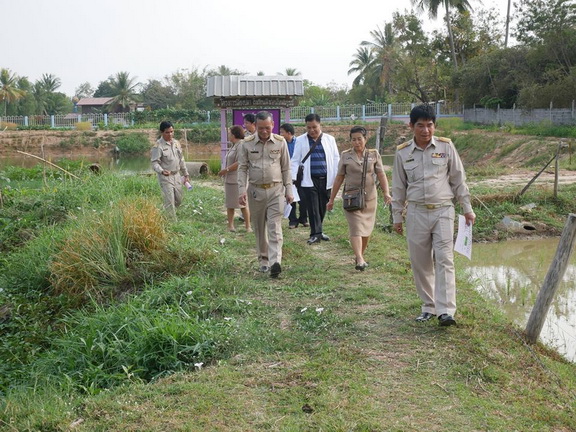 2561-01-29.17 resize