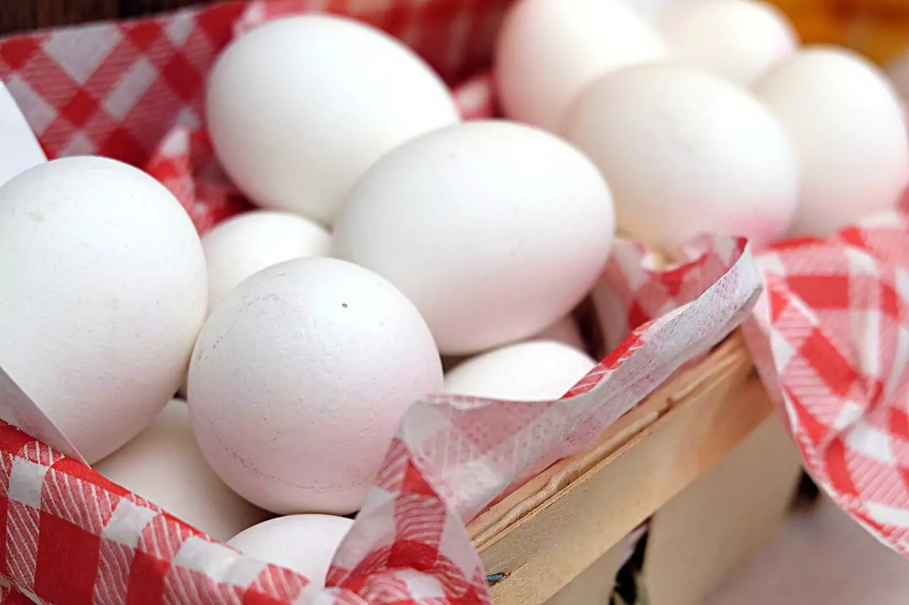 10-egg