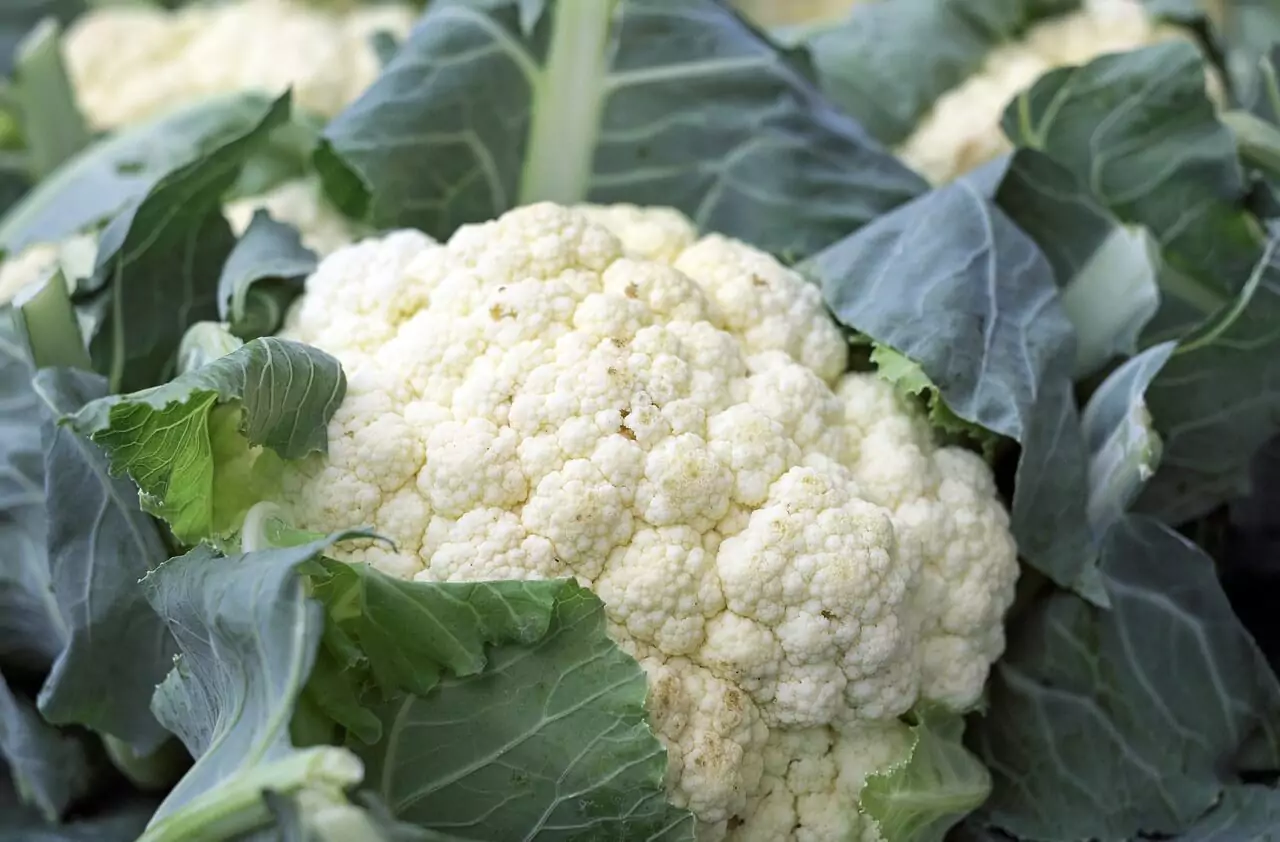 2-cauliflower