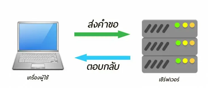 1077 19030411305941 87 2