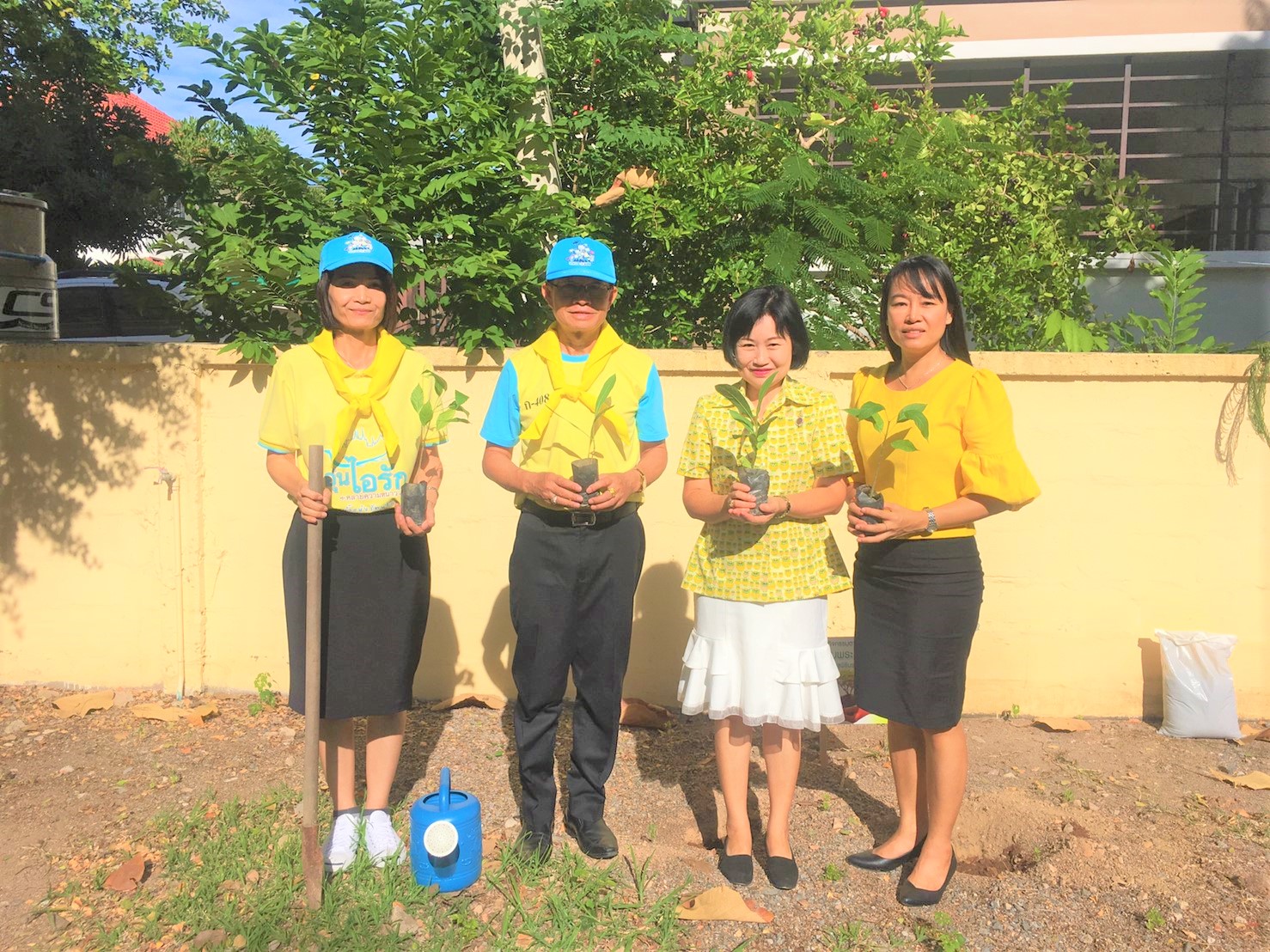 ปลกตนไม ๑๙๐๗๒๗ 0024