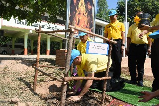 67184238 728469960944491 916671816263532544 o