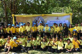 67362810 728467414278079 6027173111655301120 o