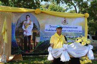 67439011 728465104278310 8379283479971495936 o